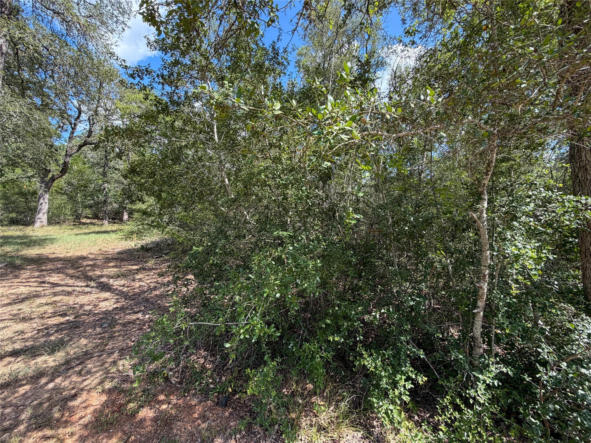 103 Nuupia CT, Bastrop, TX 78602