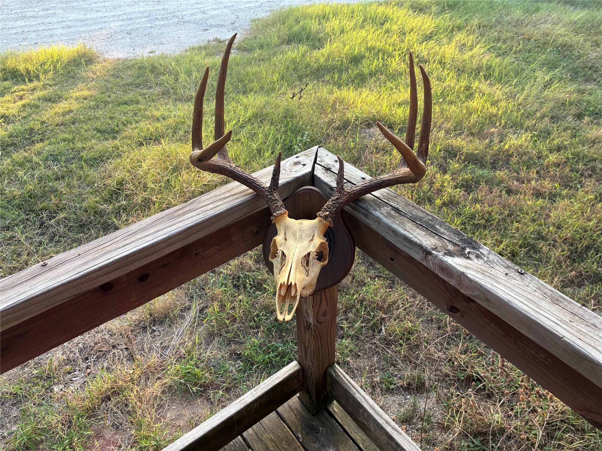 2933 County Road 457, Thorndale, TX 76577