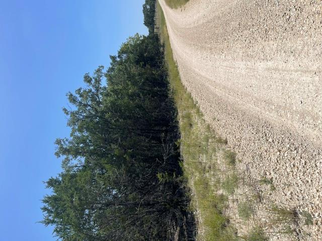TBD Cr 2644, Lometa, TX 76853
