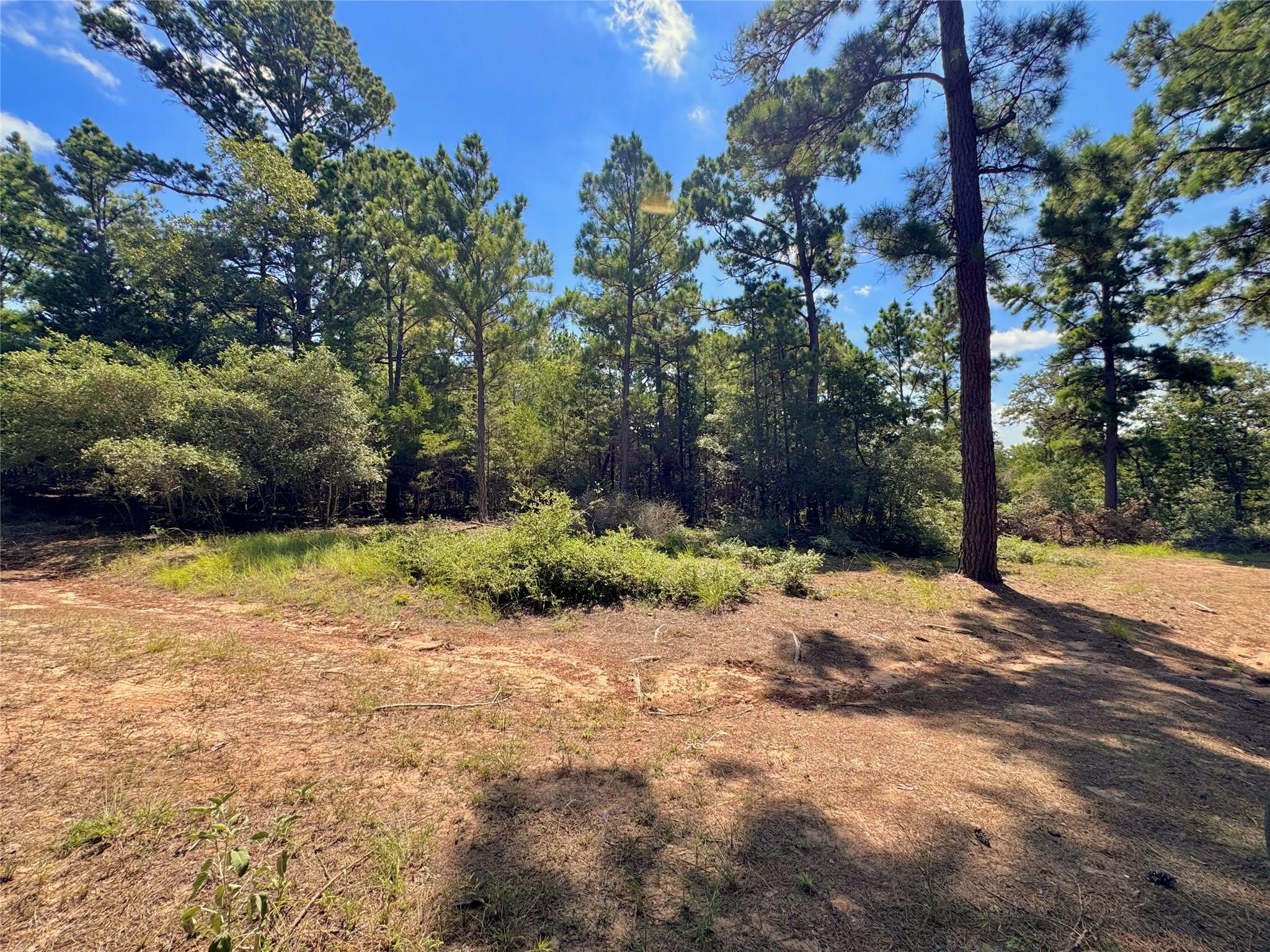 445 Pine Valley Loop, Smithville, TX 78957