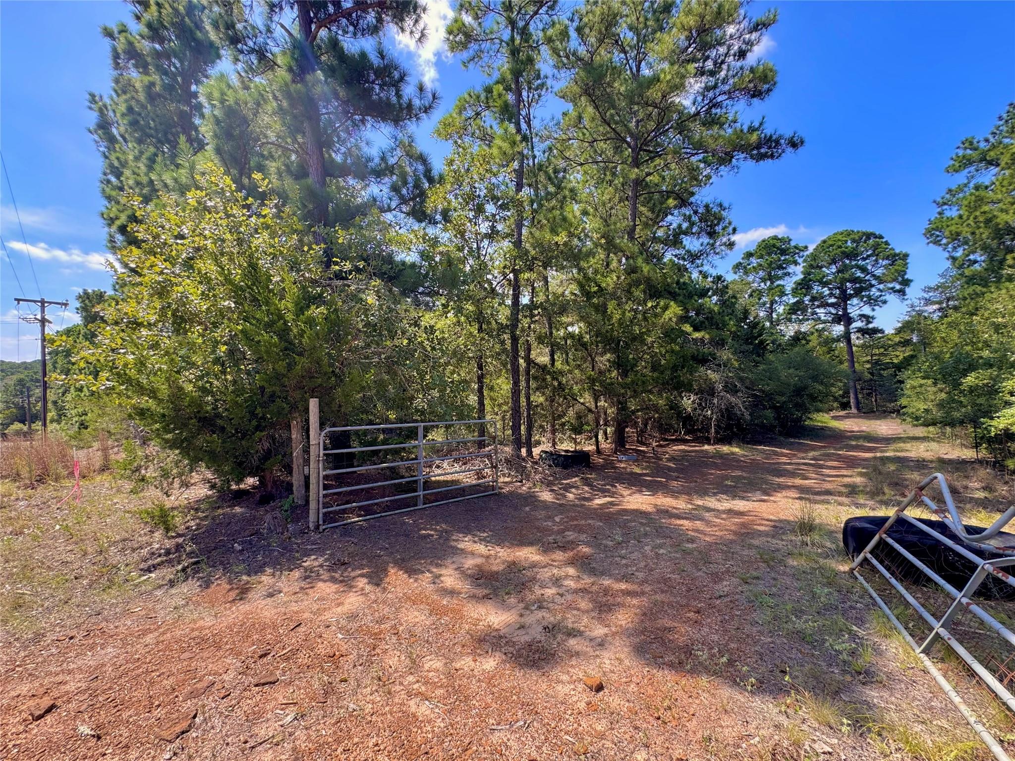 445 Pine Valley Loop, Smithville, TX 78957