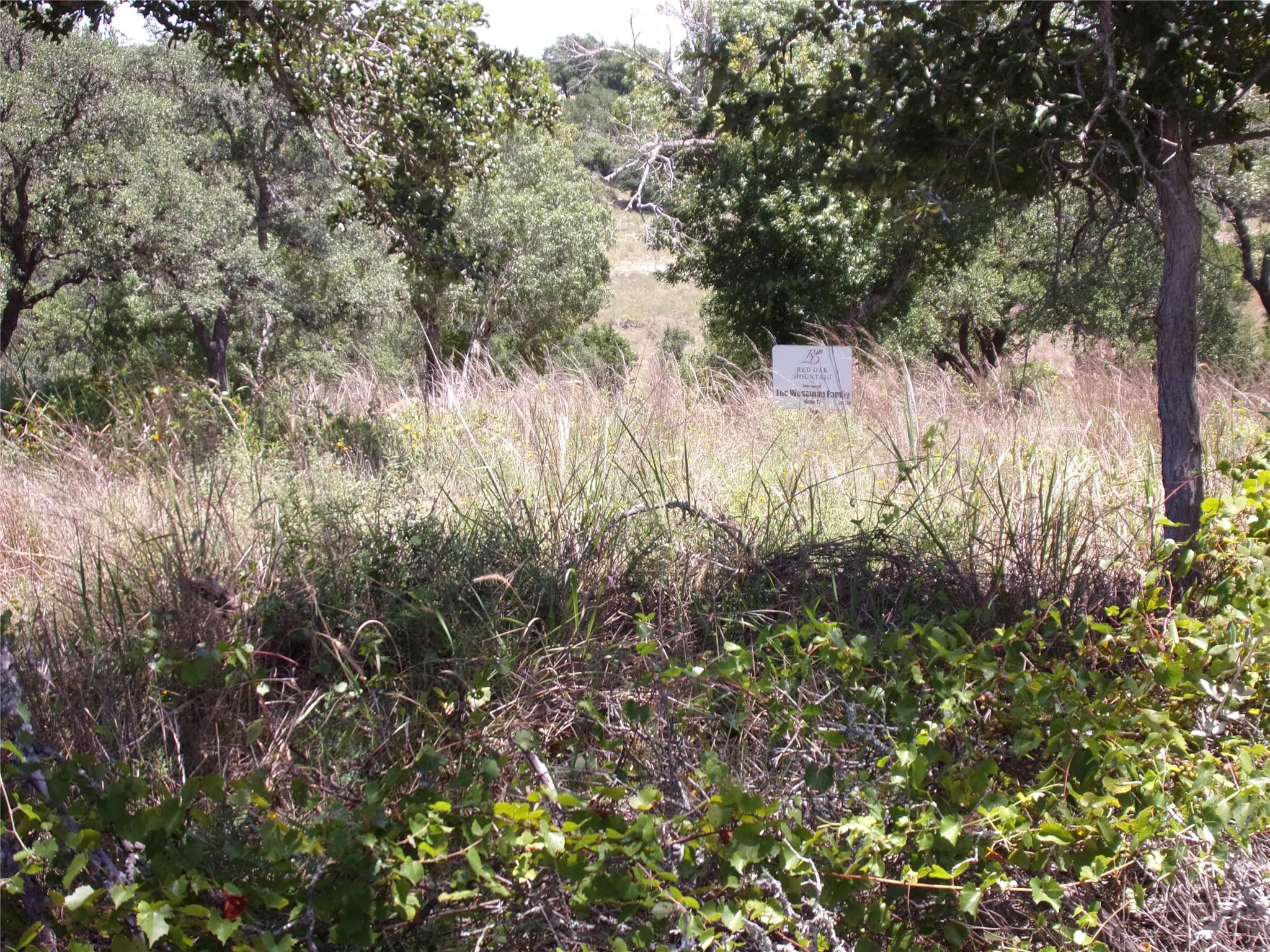 TBD Twisted Oak TRL, Blanco, TX 78606