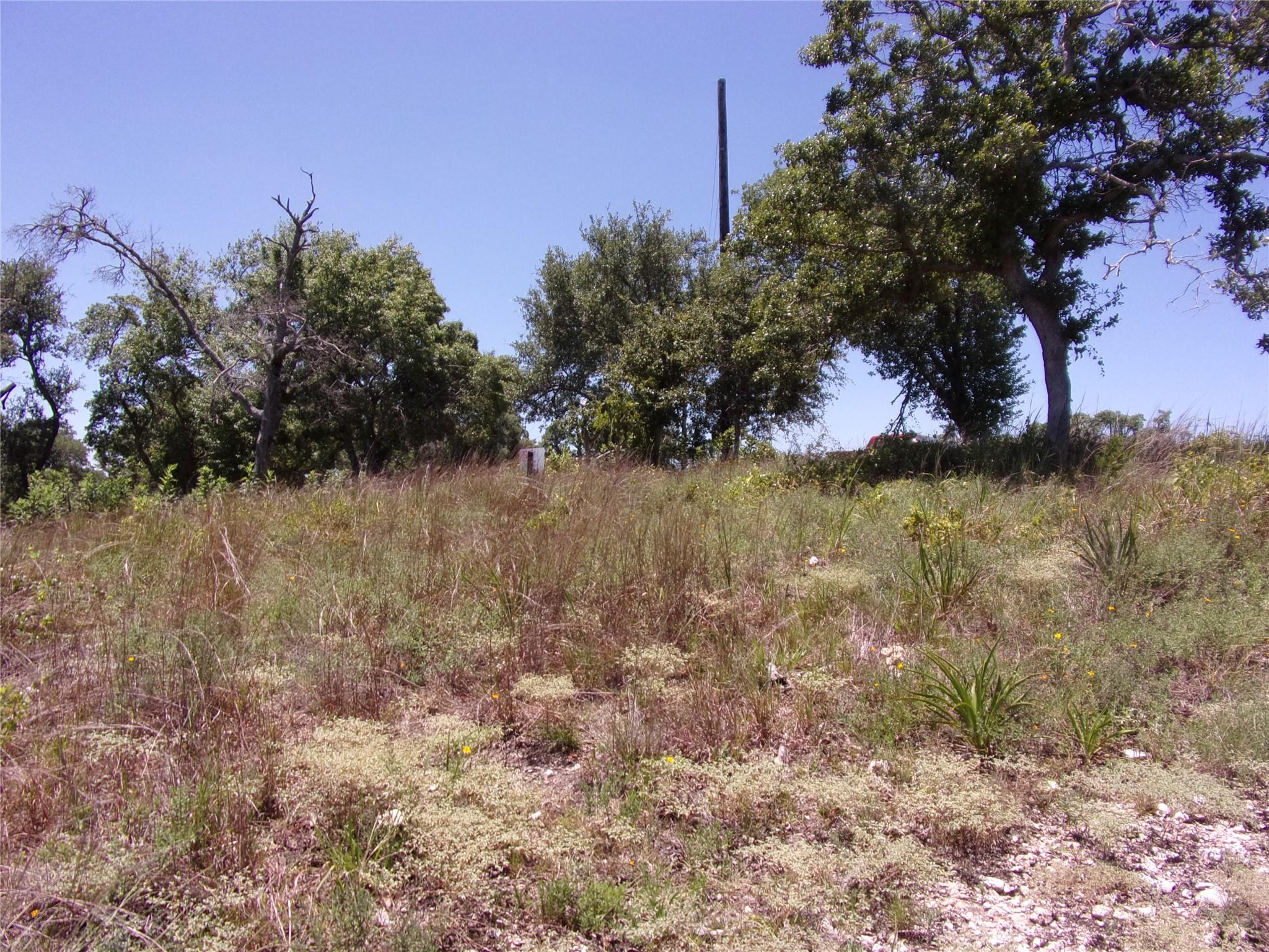 TBD Twisted Oak TRL, Blanco, TX 78606
