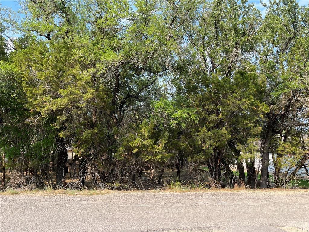 21212 Santa Rosa Ave, Lago Vista, TX 78645