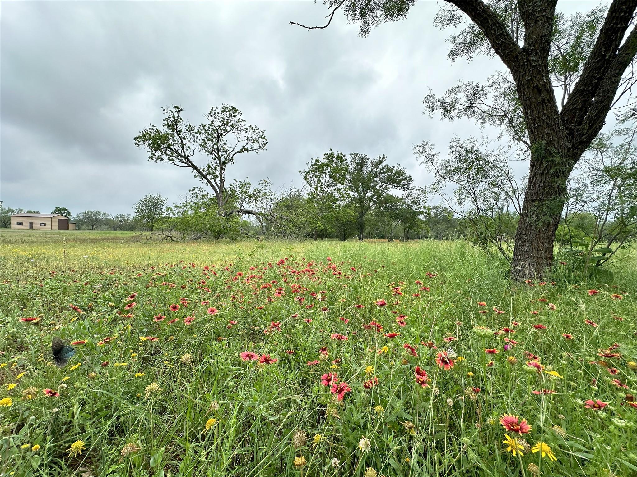 379 Vintners Way, Fredericksburg, TX 78624