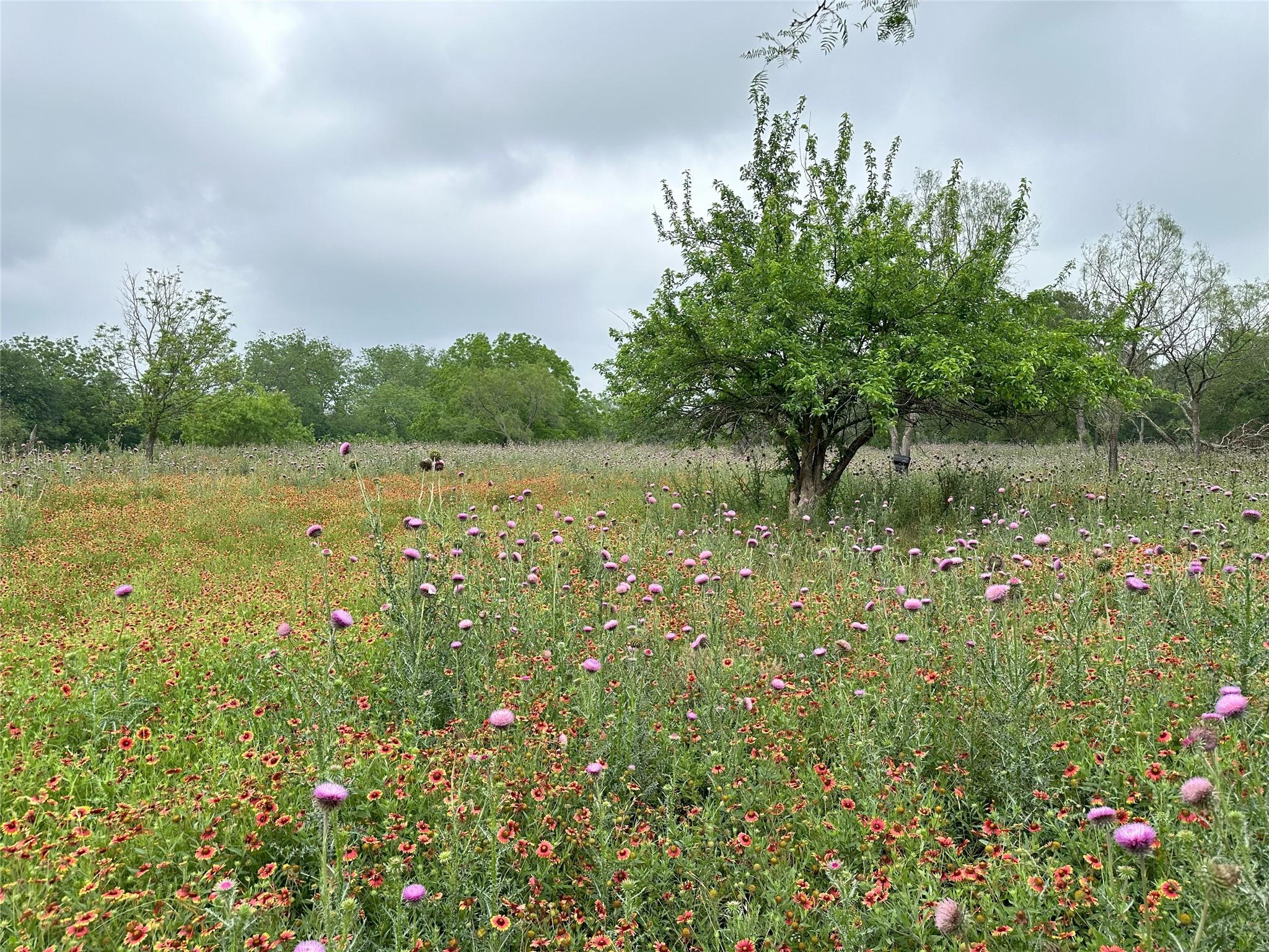 379 Vintners Way, Fredericksburg, TX 78624