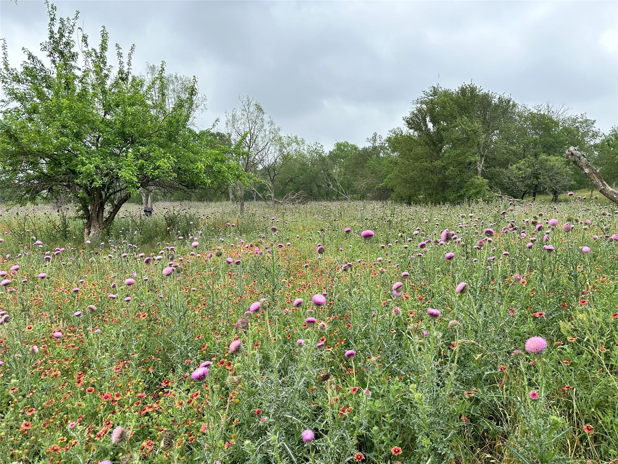 379 Vintners Way, Fredericksburg, TX 78624