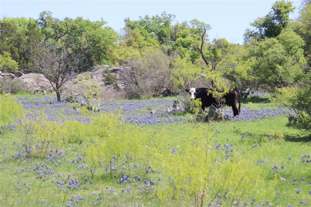 2655 Welgehausen RD, Fredericksburg, TX 78624