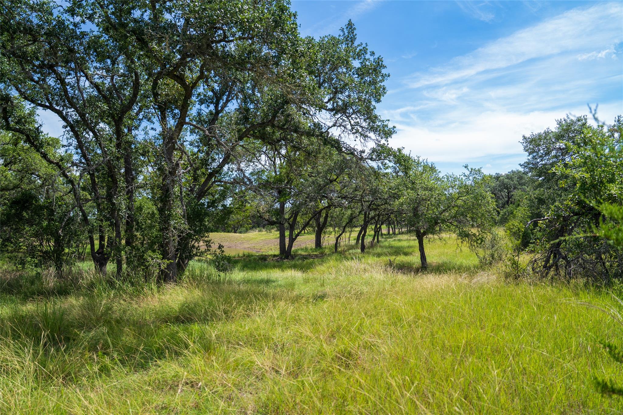 TBD-7 Rr 2325, Wimberley, TX 78676