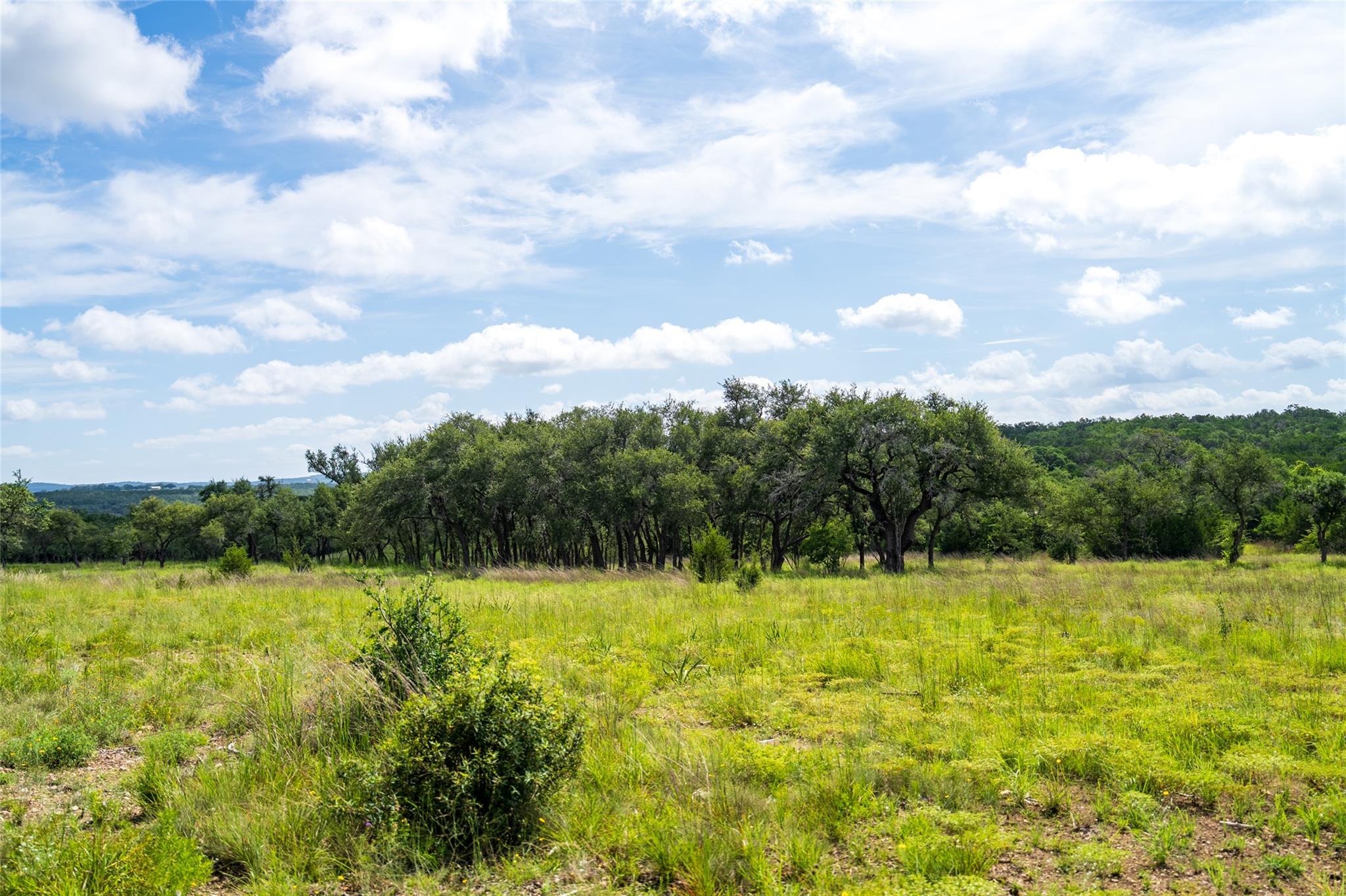TBD-7 Rr 2325, Wimberley, TX 78676
