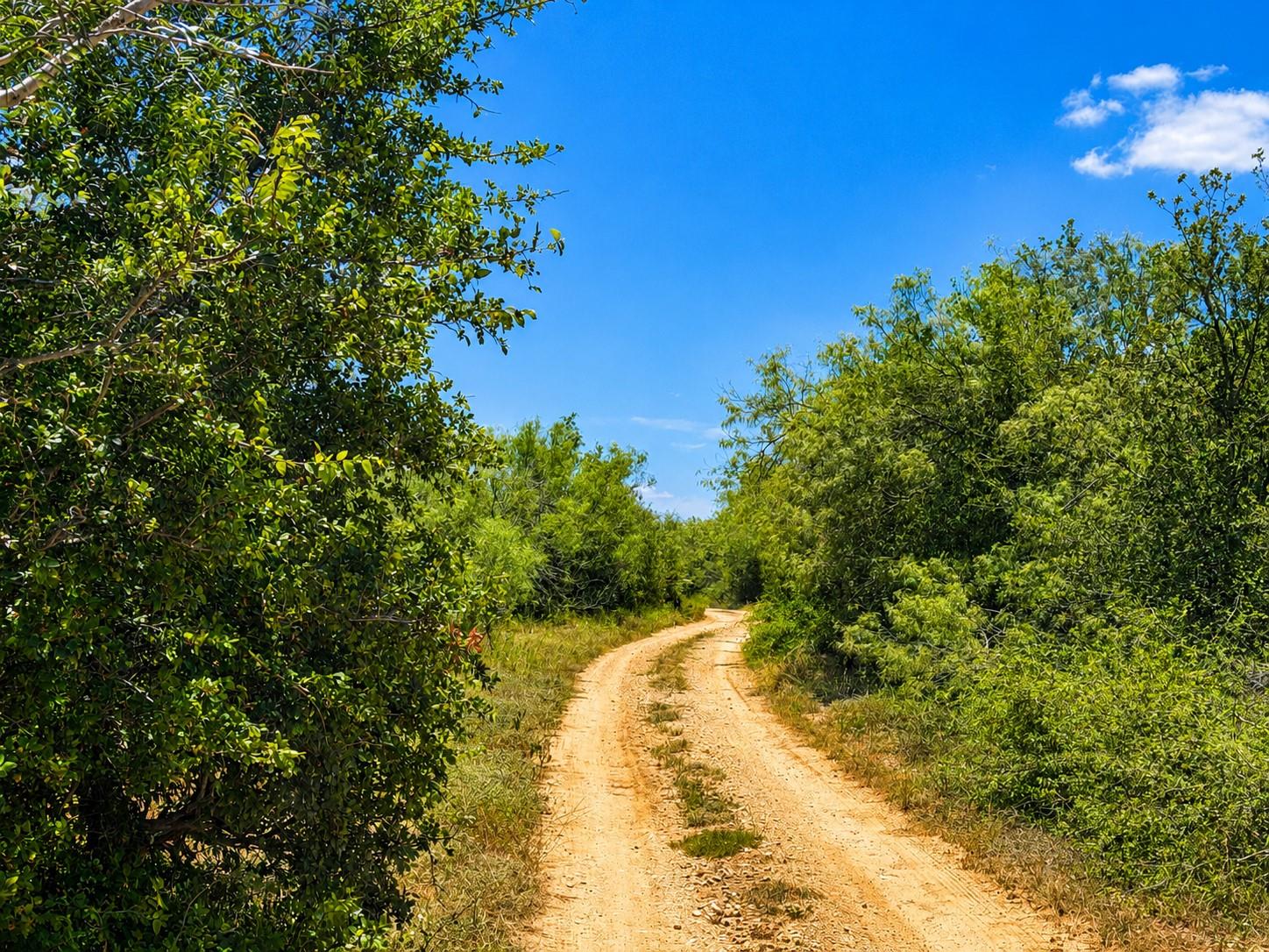 221 Fawn Ridge RD, Cedar Creek, TX 78612