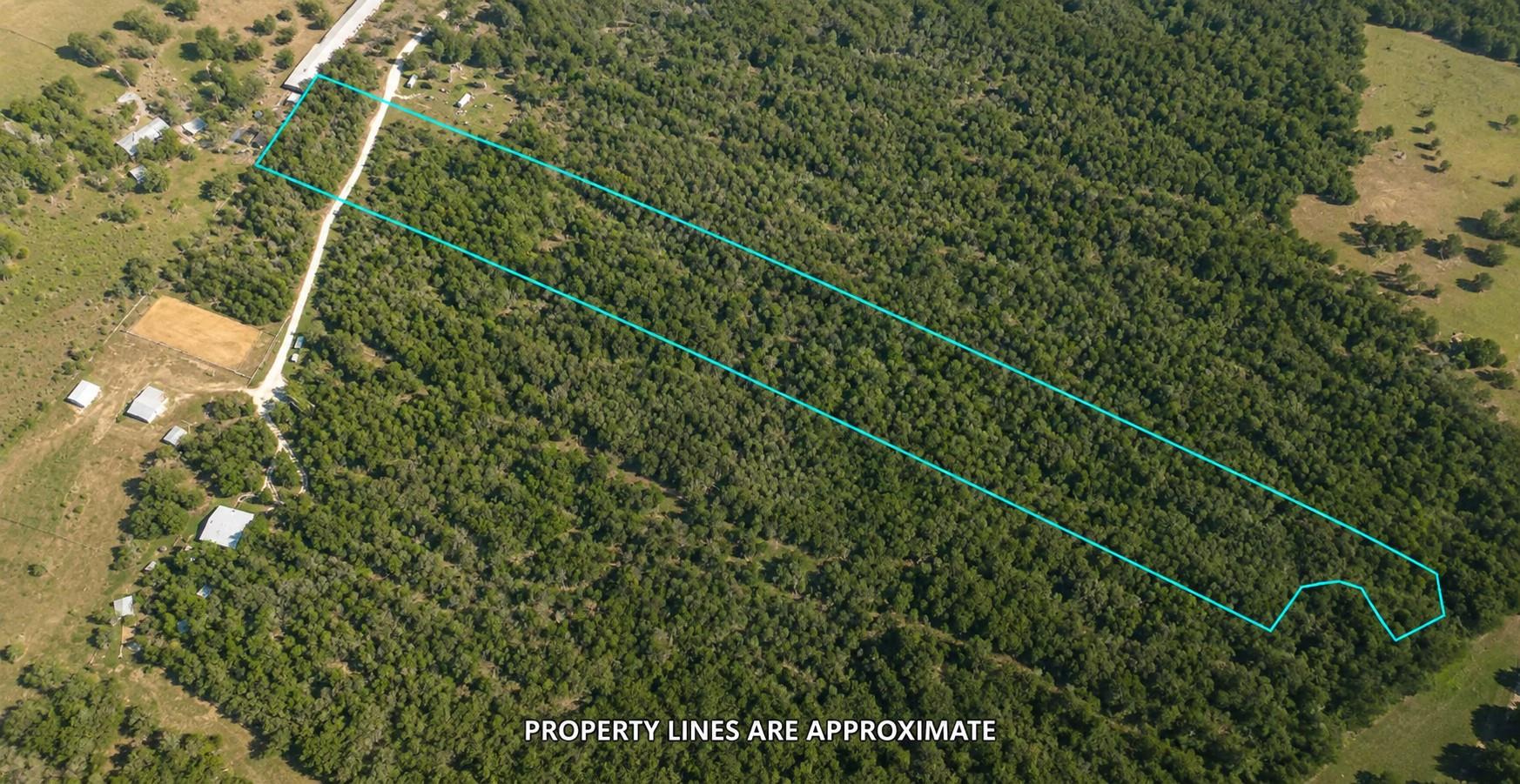 221 Fawn Ridge RD, Cedar Creek, TX 78612