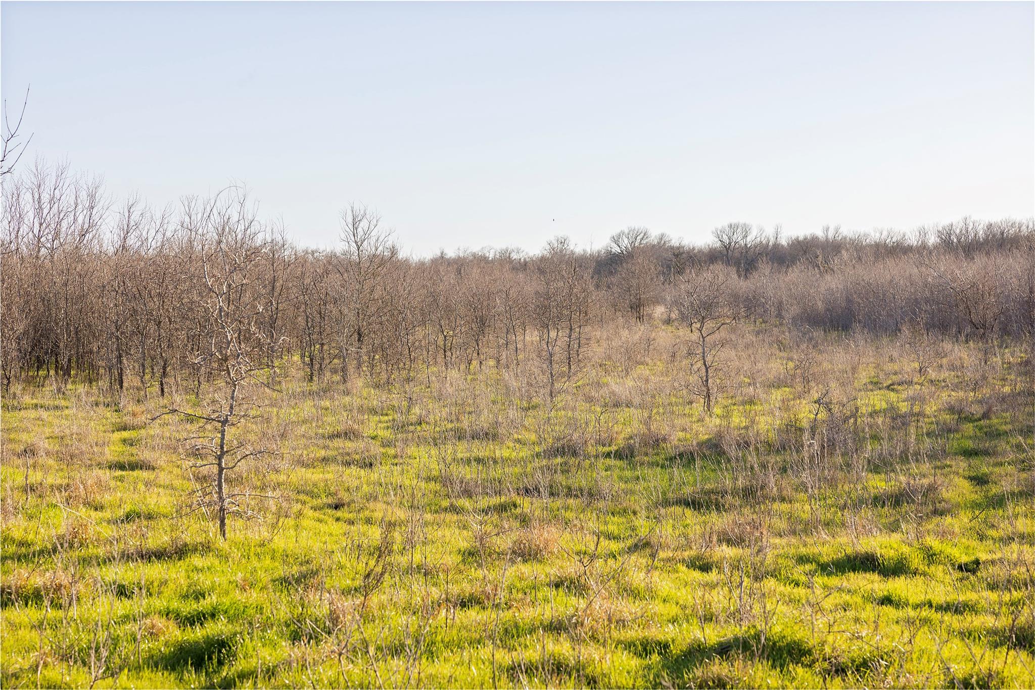 2801 County Road 436, Thrall, TX 76578