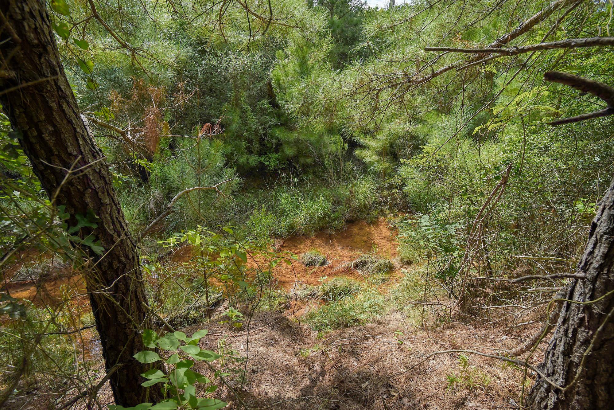 TBD Kipahulu DR #2, Bastrop, TX 78602