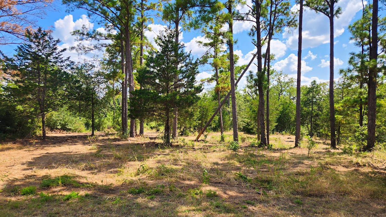 TBD Modock DR, Bastrop, TX 78602