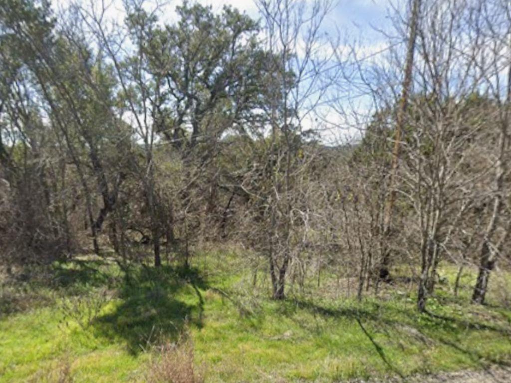 18501 E Lakeview DR, Jonestown, TX 78645