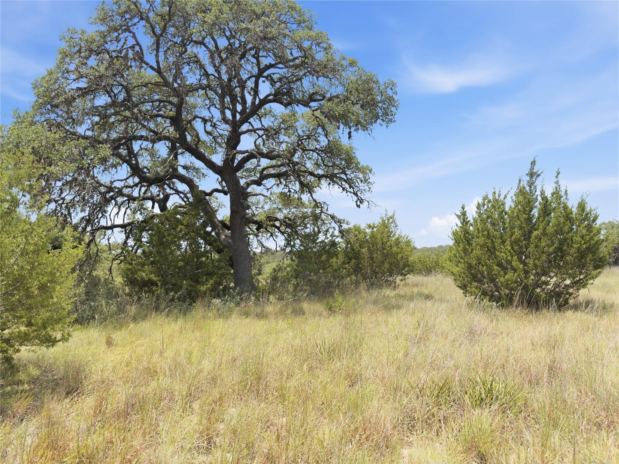 963 Summit Ridge Trail DR, Johnson City, TX 78636
