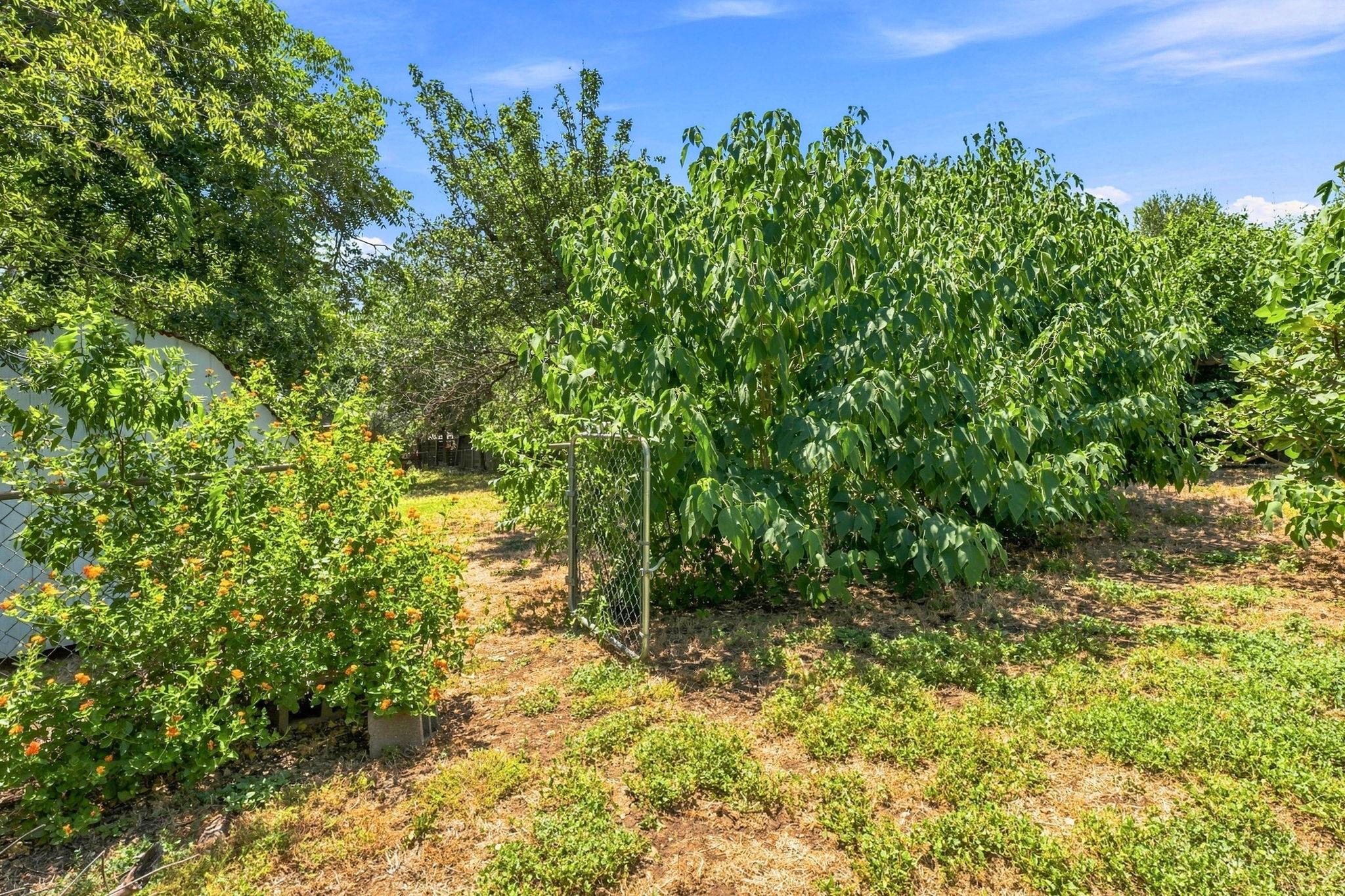 4415 Hank Ave, Austin, TX 78745