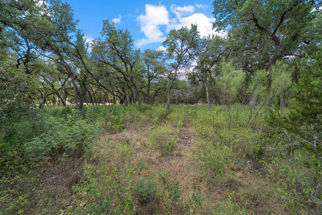 1345 Merlot, New Braunfels, TX 78132