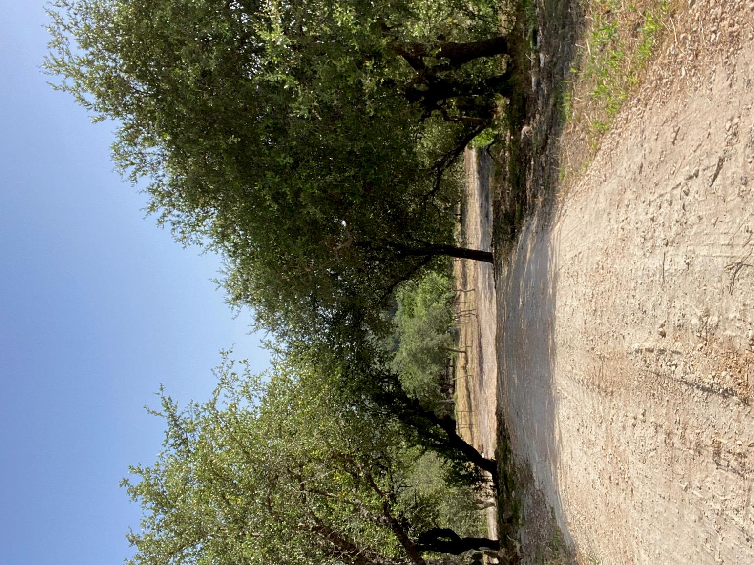 6709 Singleton Bend RD #4, Marble Falls, TX 78654