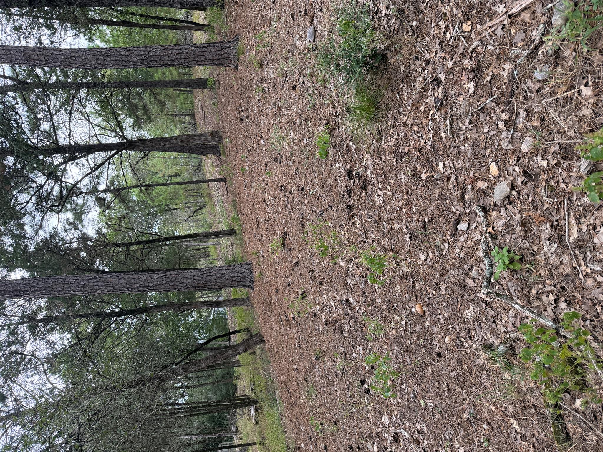 Lot 290 Aka CT, Bastrop, TX 78602