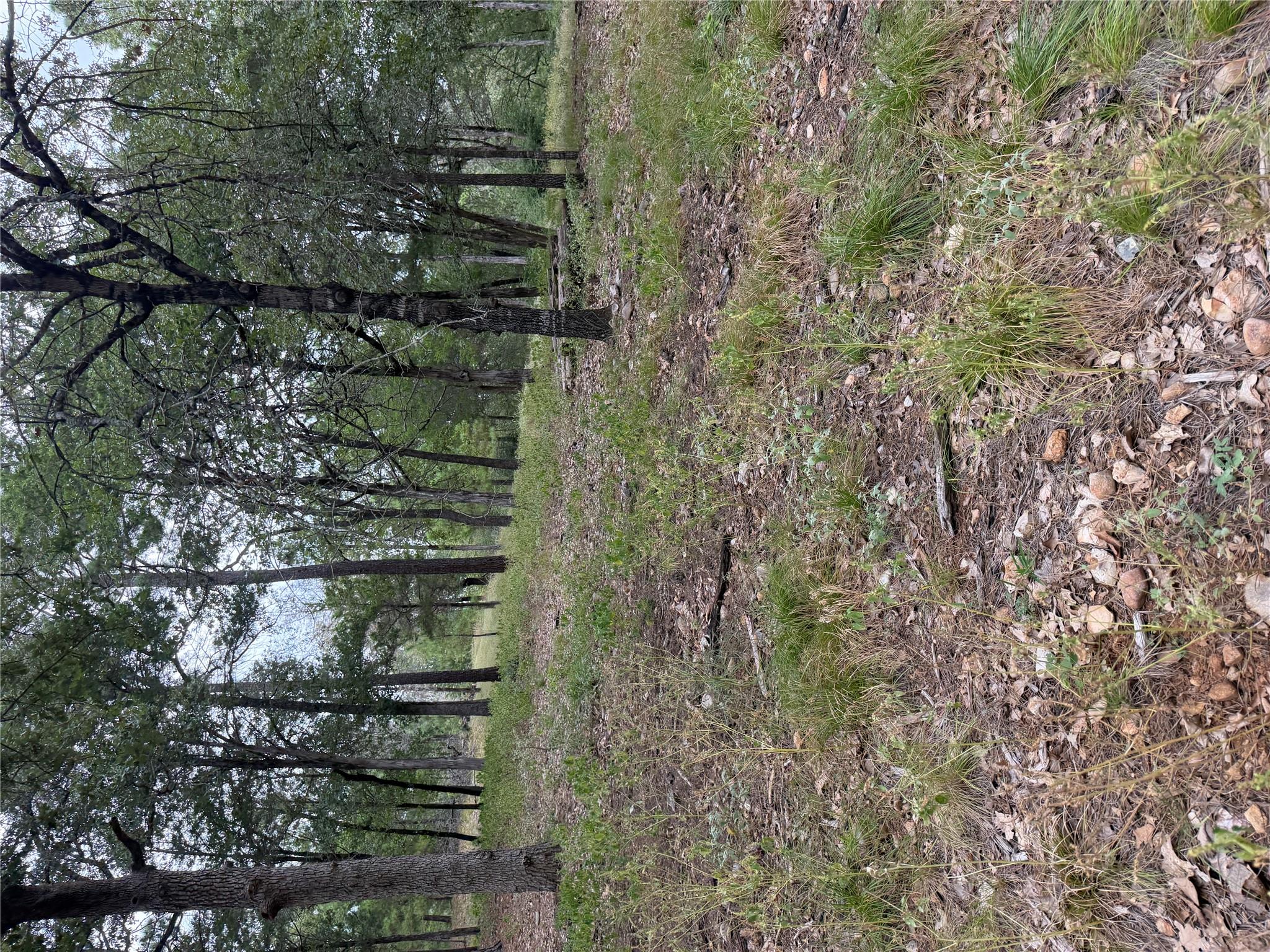 Lot 291 Aka CT, Bastrop, TX 78602