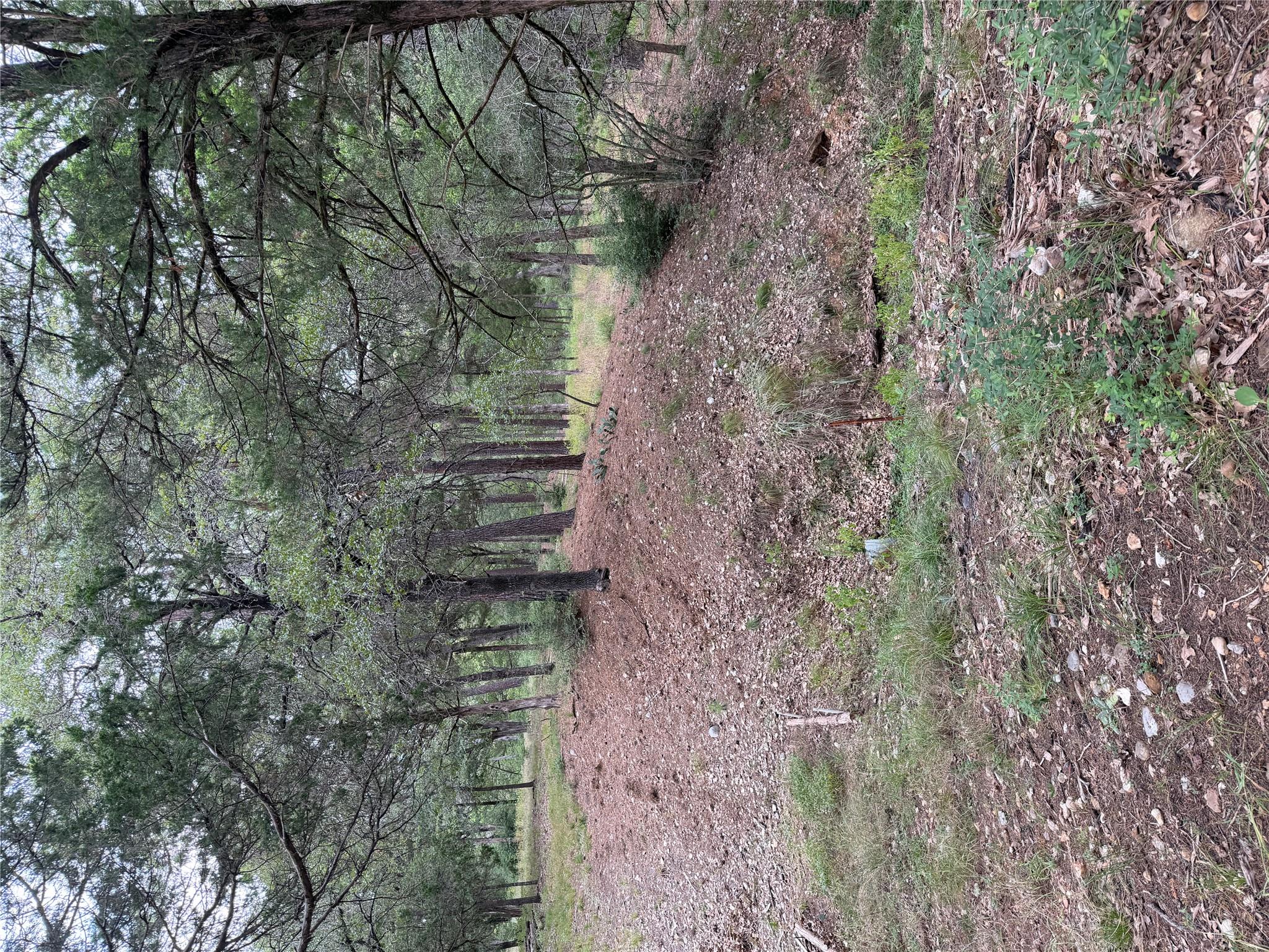 Lot 292 Aka CT, Bastrop, TX 78602