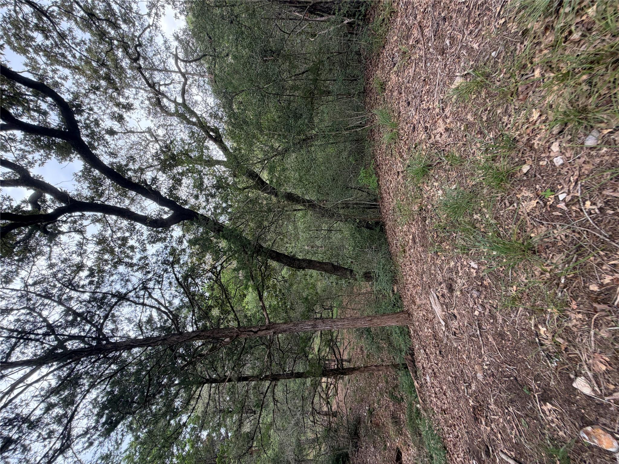 Lot 293 Aka CT, Bastrop, TX 78602