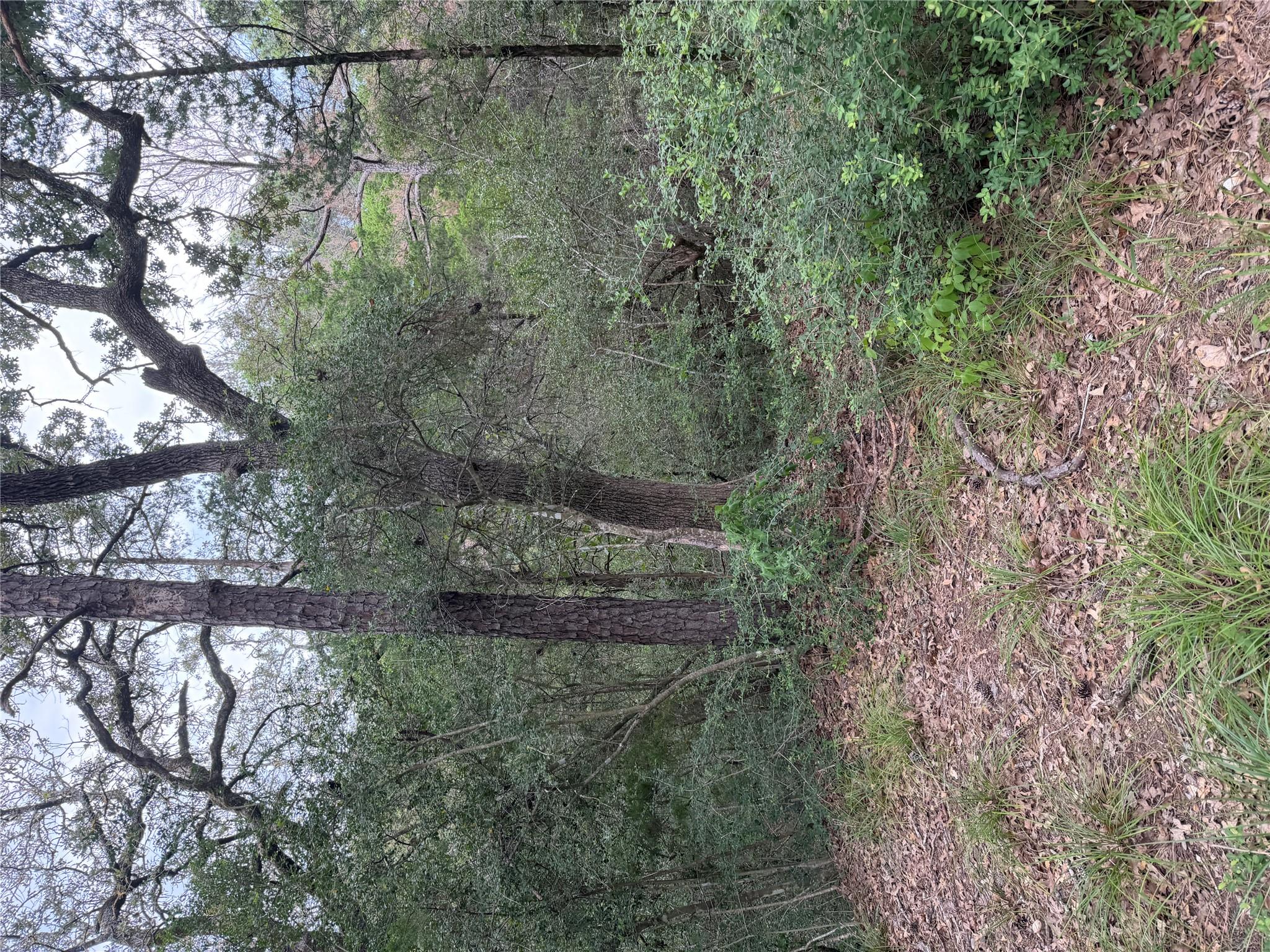 Lot 294 Aka CT, Bastrop, TX 78602