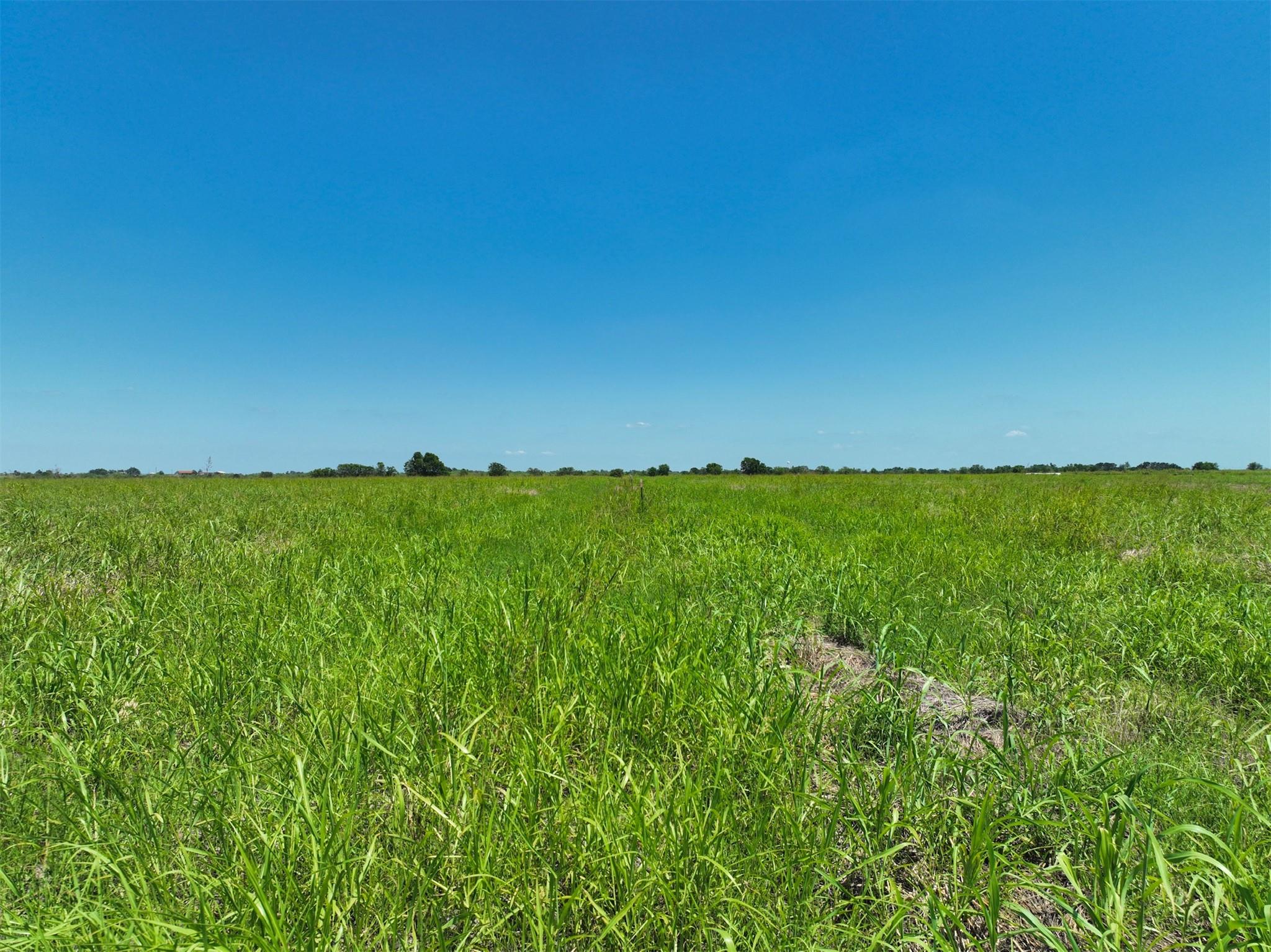 Lot 1 Cr 142 RD, Cameron, TX 76520