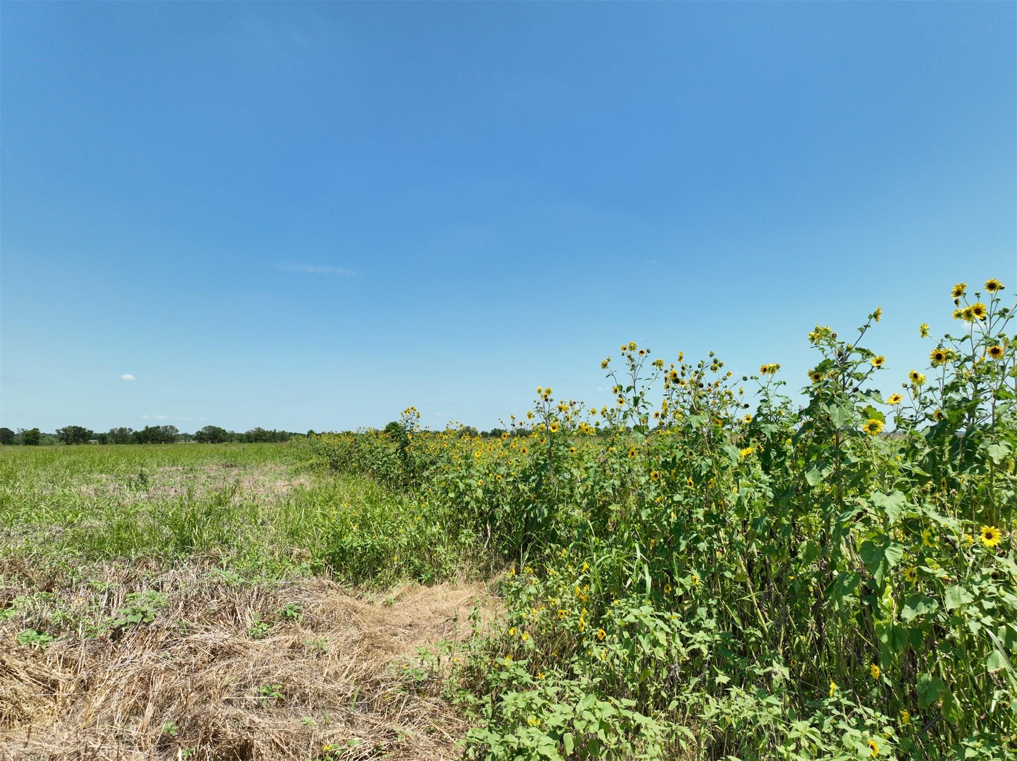 Lot 2 Cr 142 RD, Cameron, TX 76520