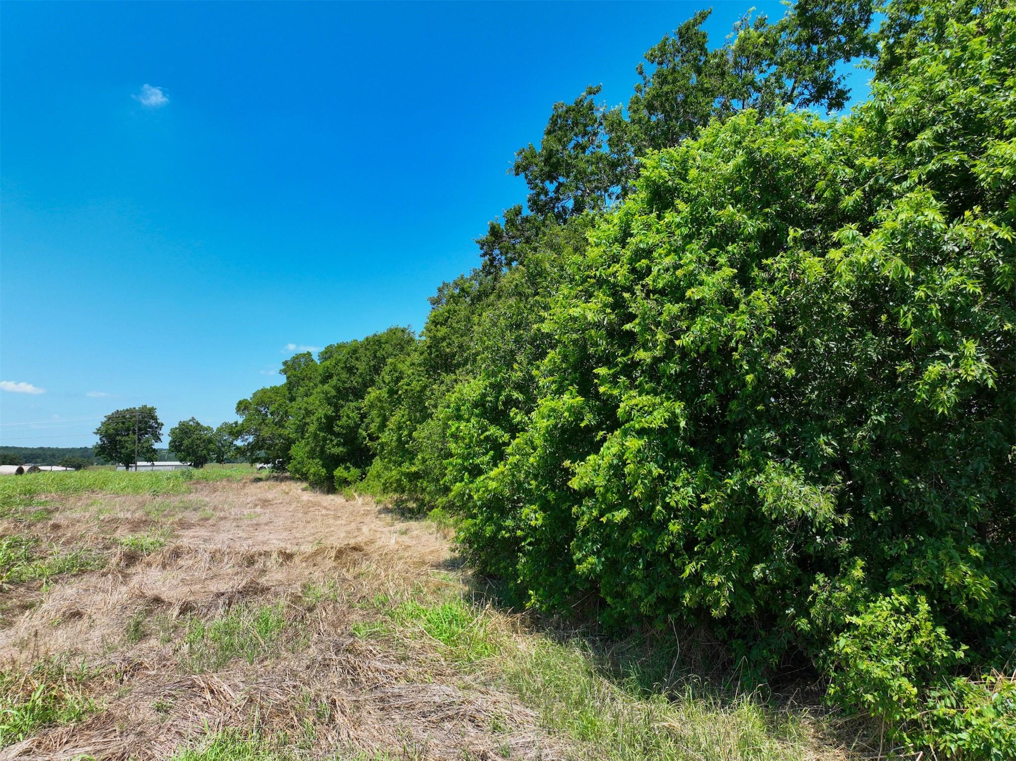 Lot 2 Cr 142 RD, Cameron, TX 76520