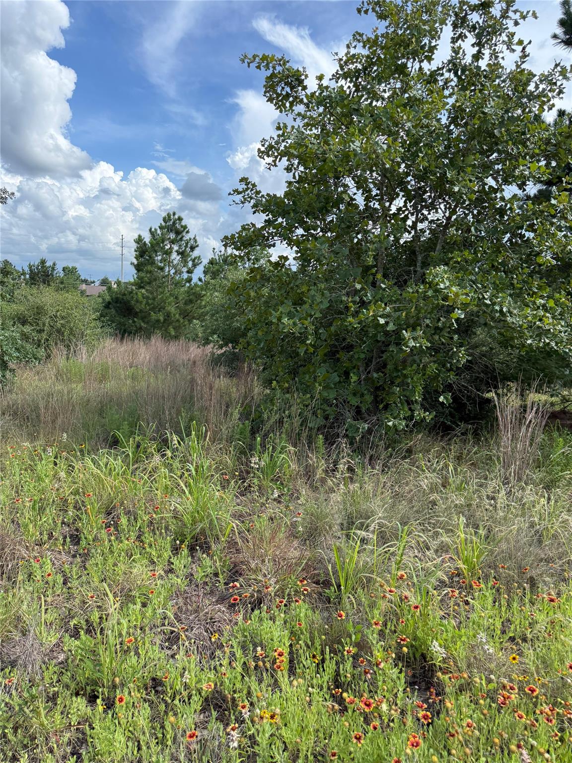 Lots 89-90 Pintail LN, Bastrop, TX 78602