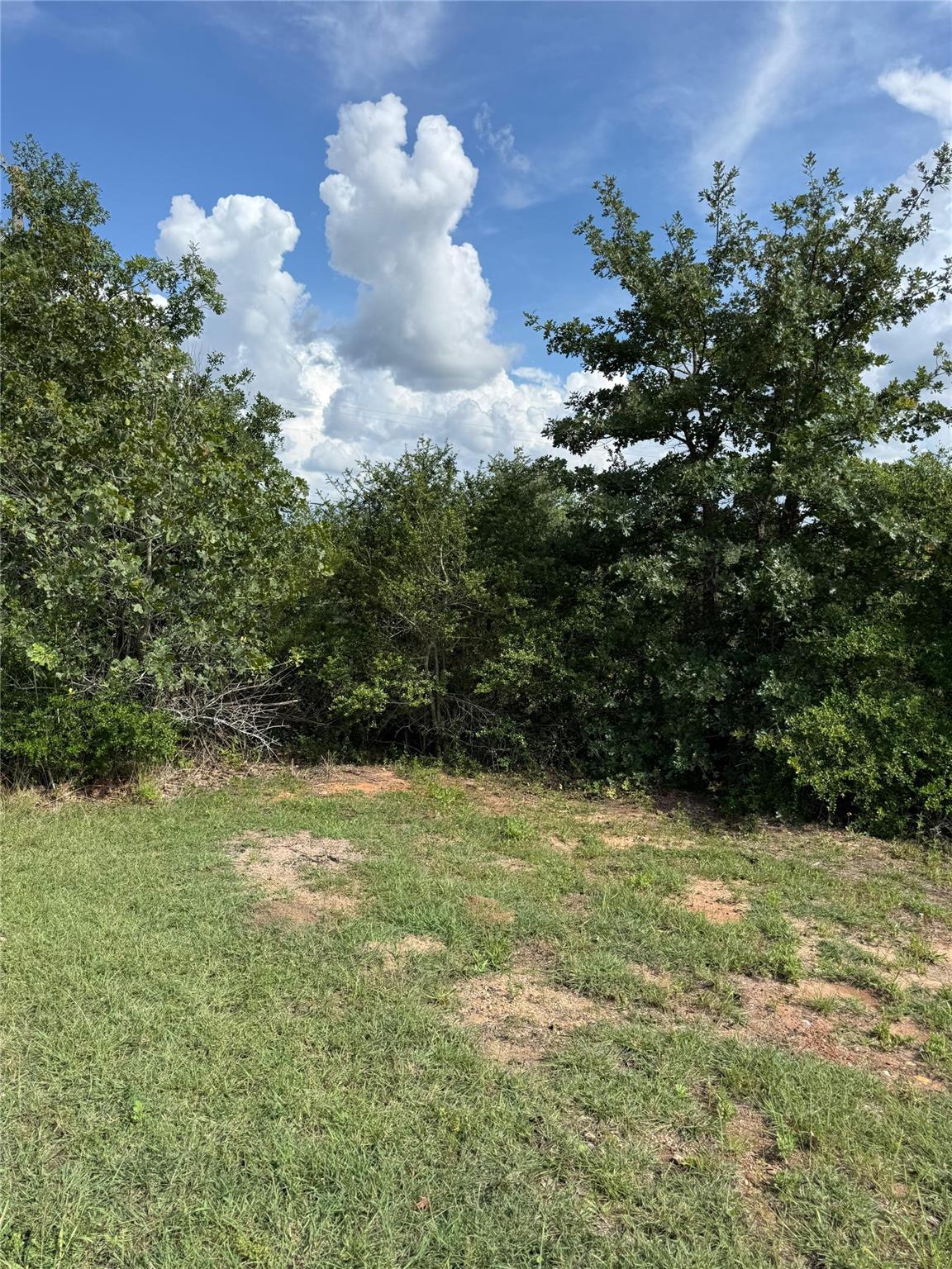Lots 89-90 Pintail LN, Bastrop, TX 78602