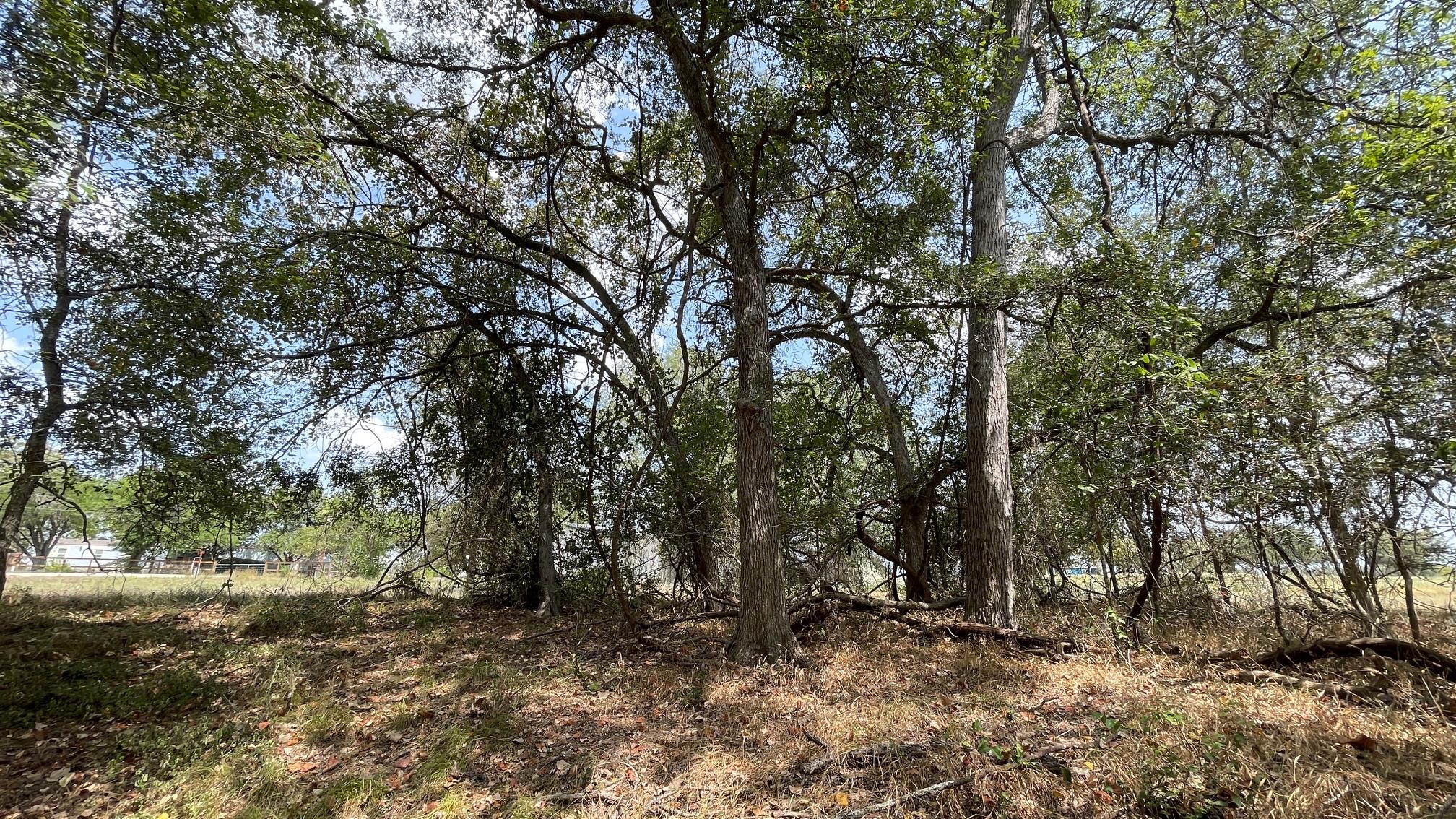 109 Patti CV S, Bastrop, TX 78602