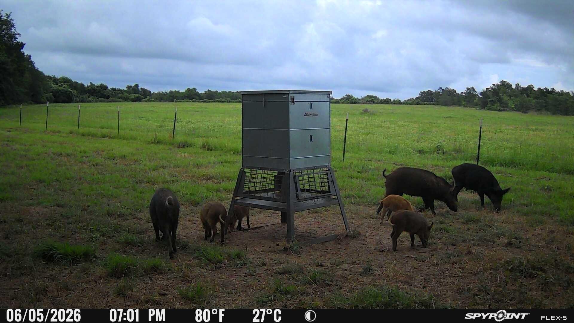 0000 TBD Fm 979, Cameron, TX 76520