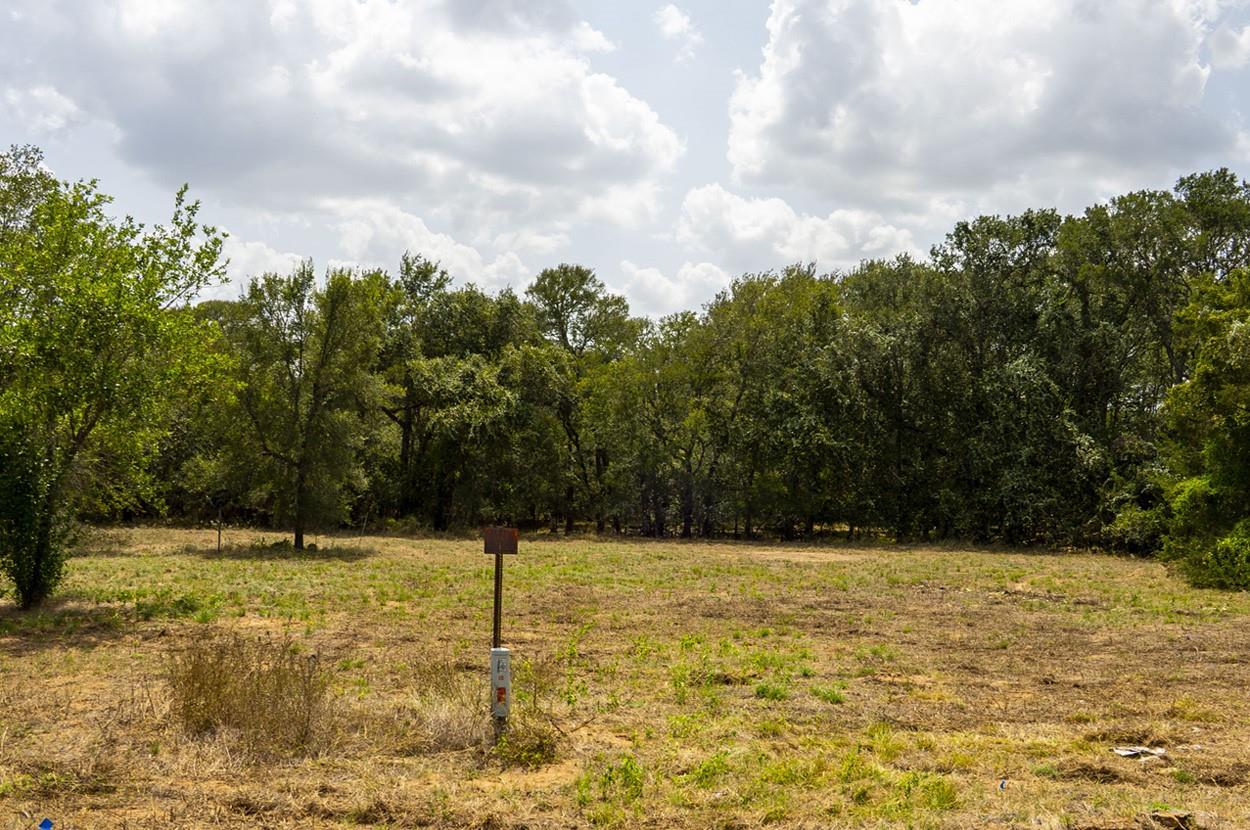 Lot 12 Patti CV S, Bastrop, TX 78602
