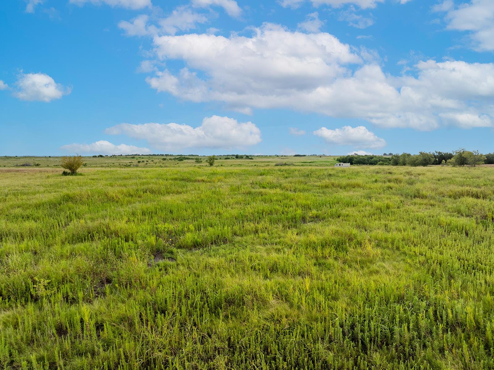 5275 County Road 424 RD, Taylor, TX 76574