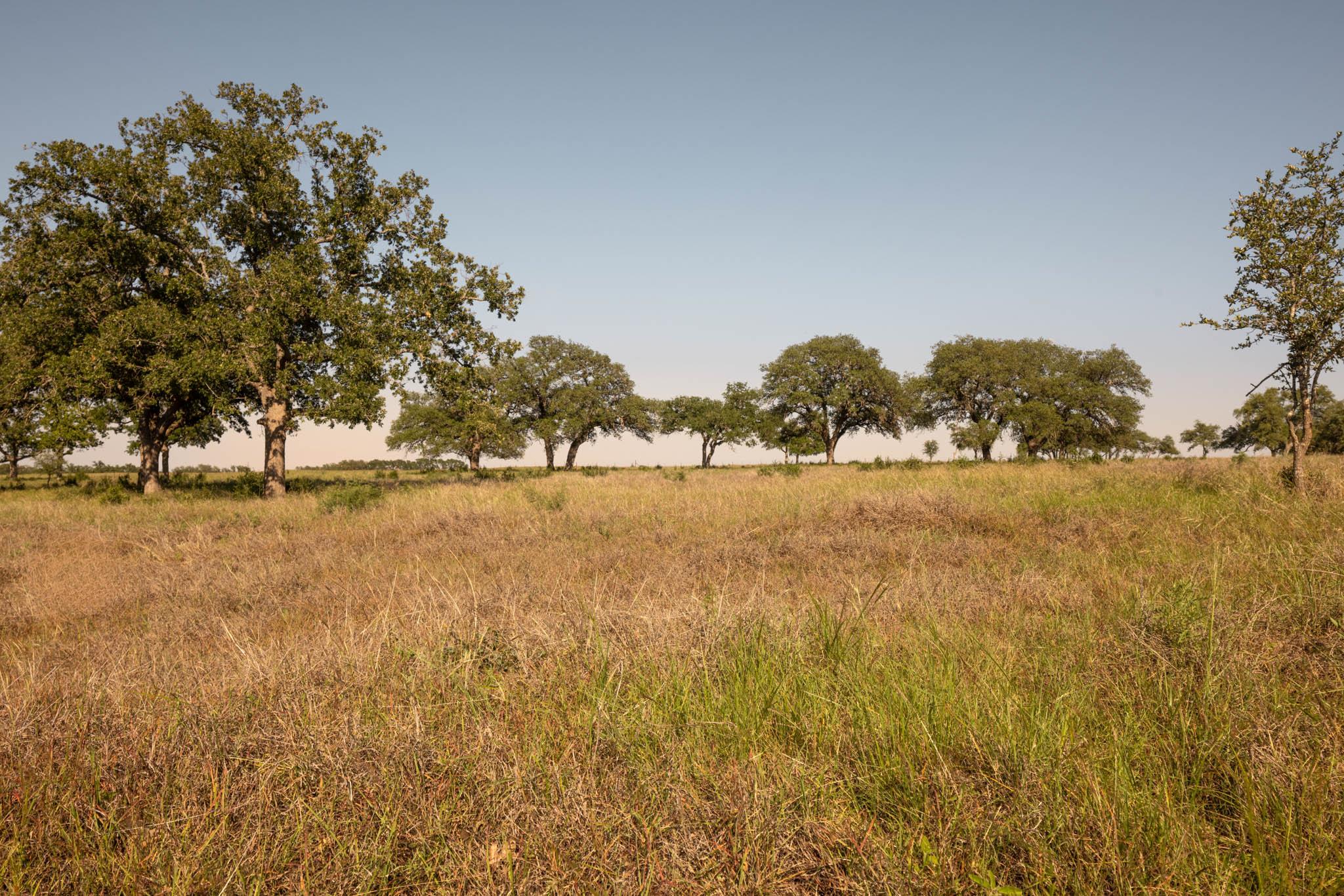 1755 Towhead Valley RD, Johnson City, TX 78636
