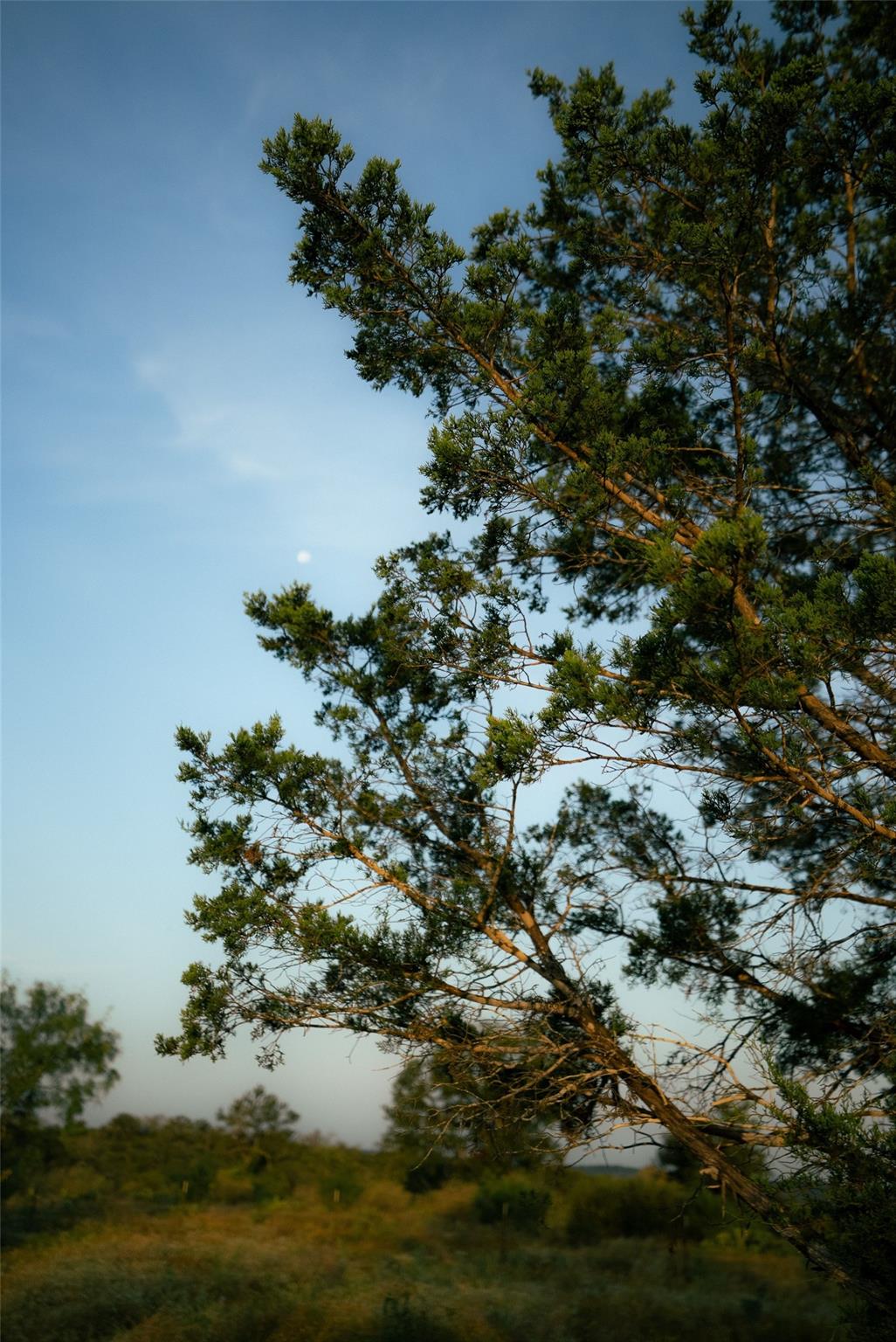 1790 County Road 402, Marble Falls, TX 78654
