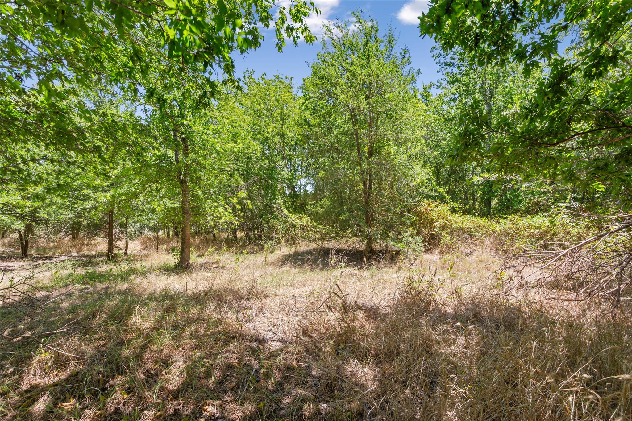 24485 E Avenue C, Buckholts, TX 76518