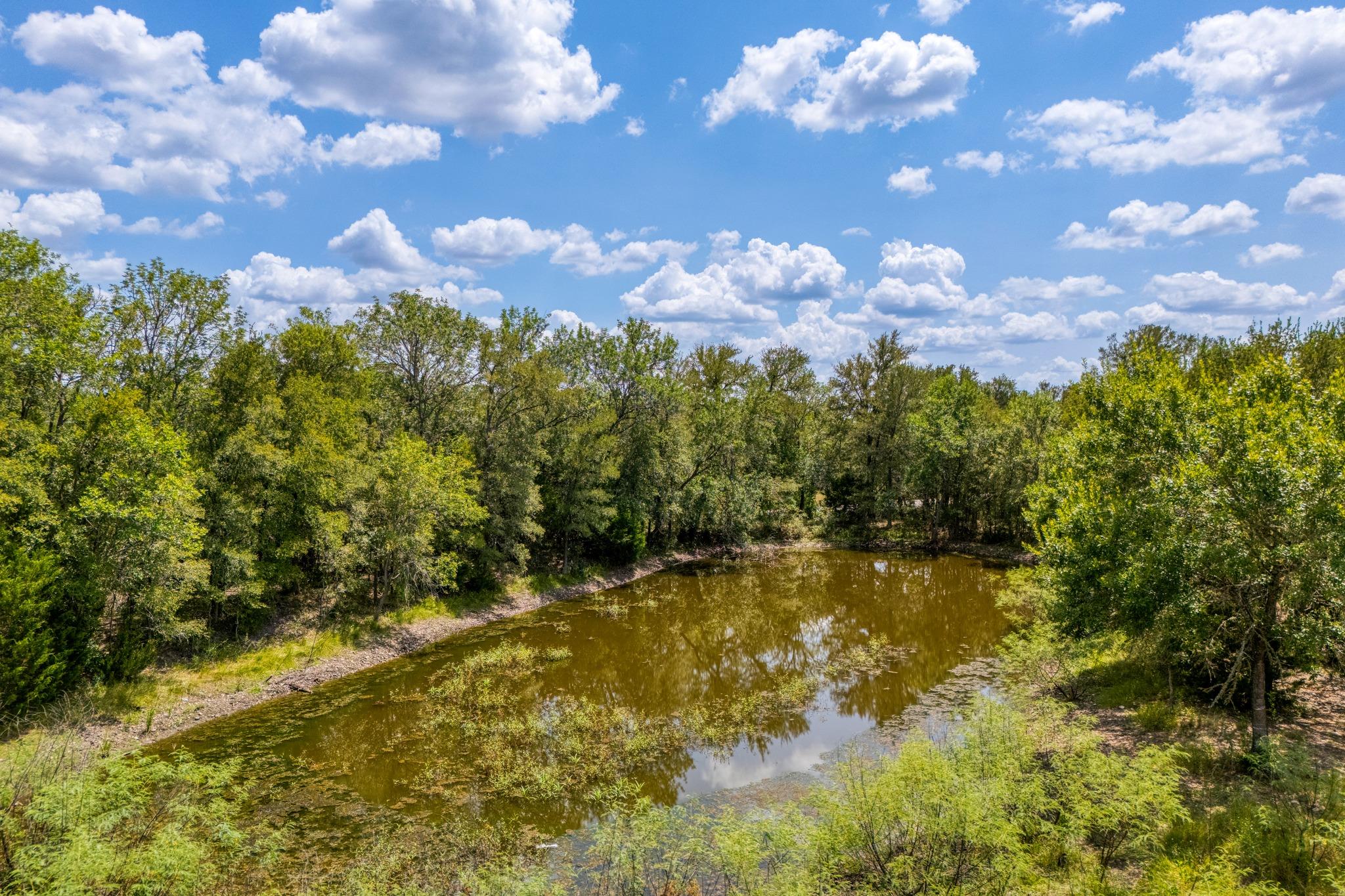 448 Jenkins RD, Cedar Creek, TX 78612