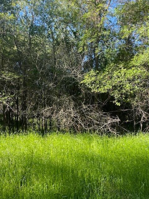Lot 768 Kaukonahua LN, Bastrop, TX 78602