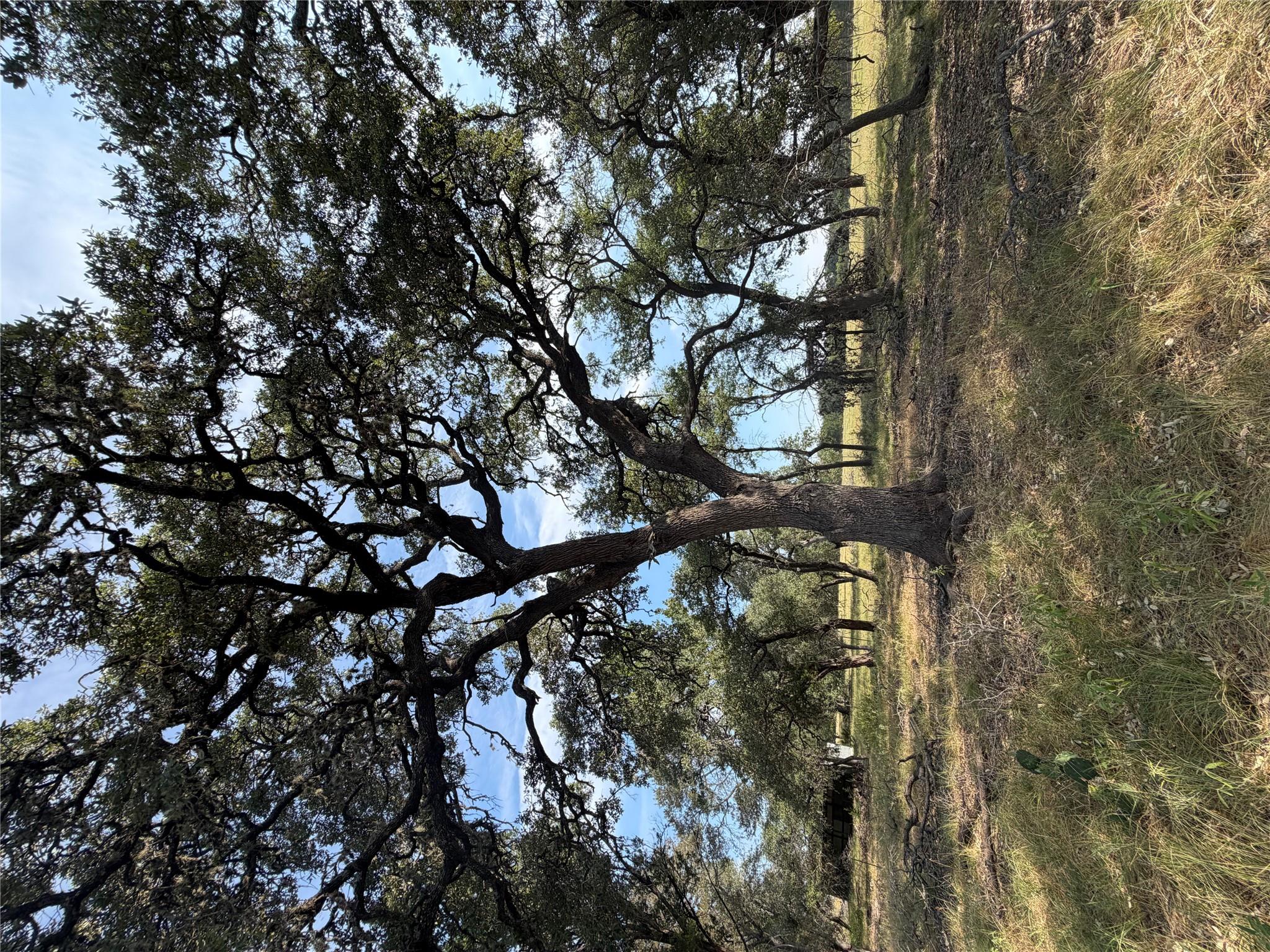 125 Quail HOLW, Wimberley, TX 78676