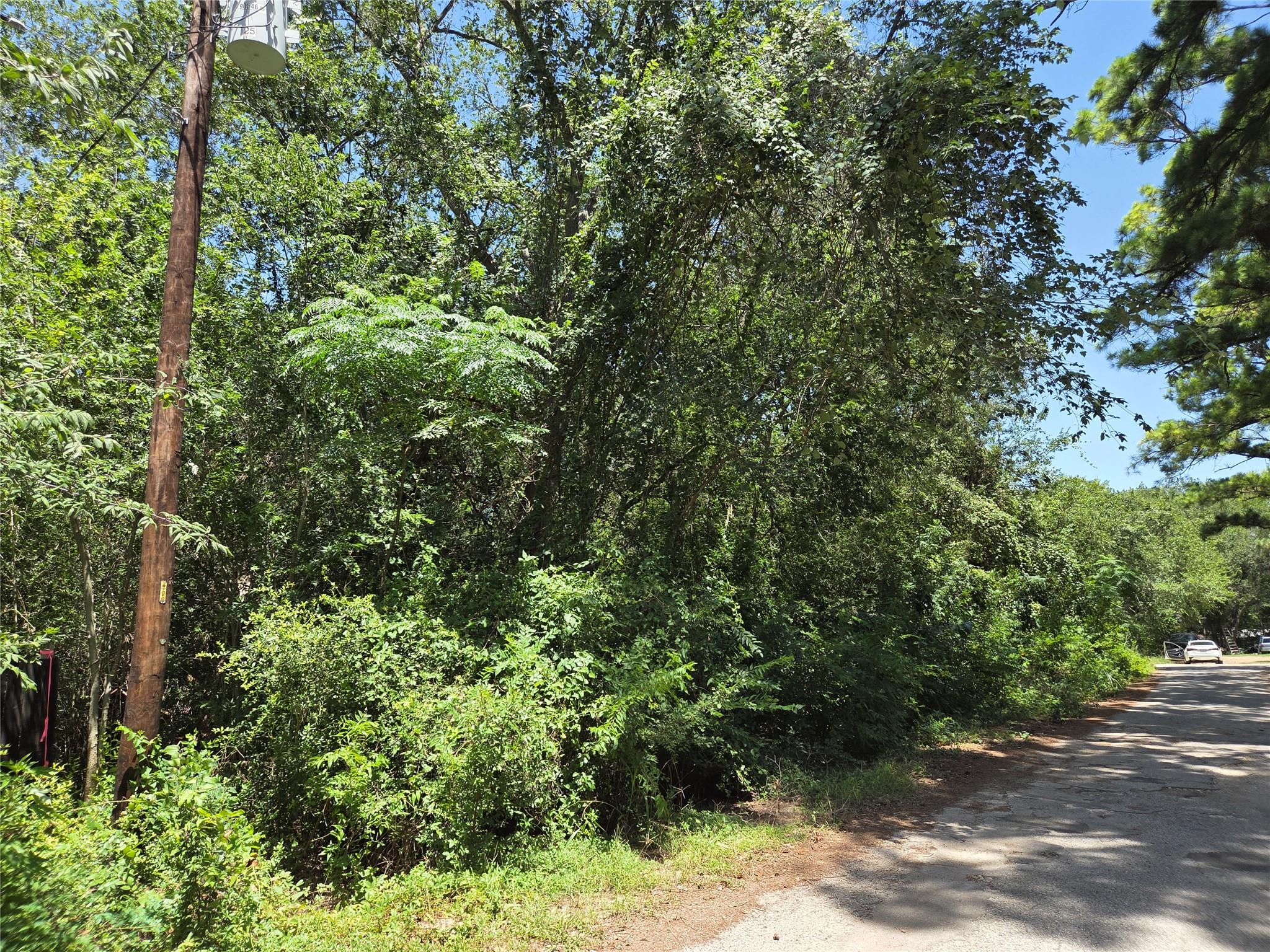 TBD Nancy / Davis ST, Bastrop, TX 78602
