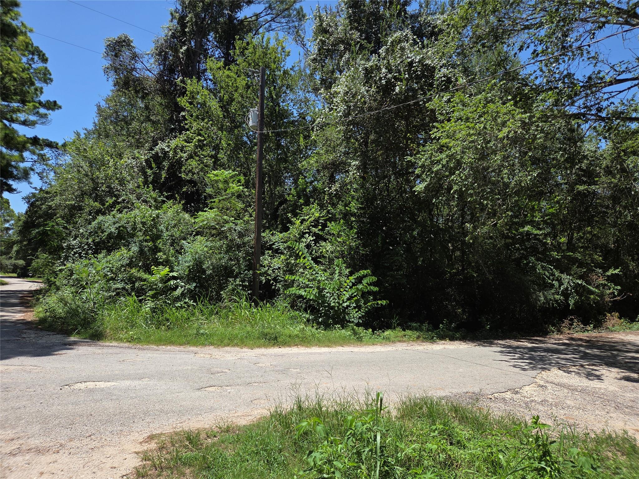 TBD Nancy / Davis ST, Bastrop, TX 78602