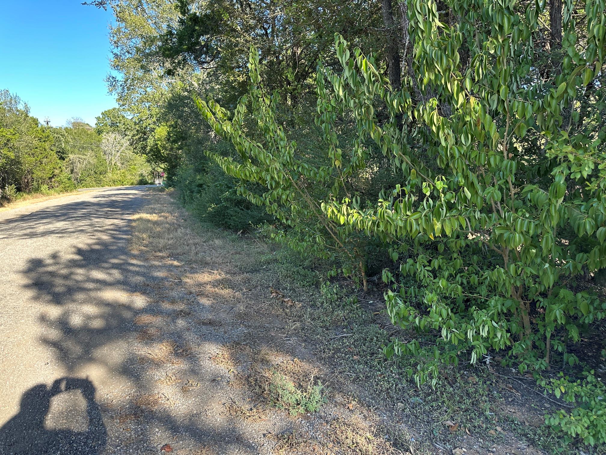 LOT 9 Robin Rn, Bastrop, TX 78602
