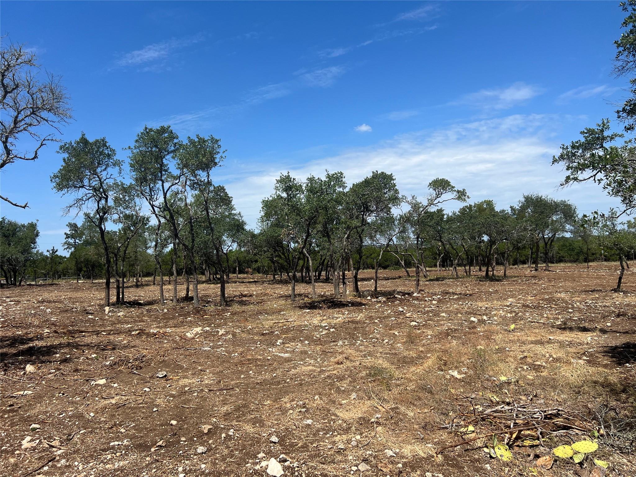 22.164 Acres Trautwein RD, Austin, TX 78737
