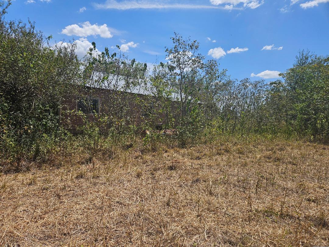 358 S Highway 95 S, Elgin, TX 78621