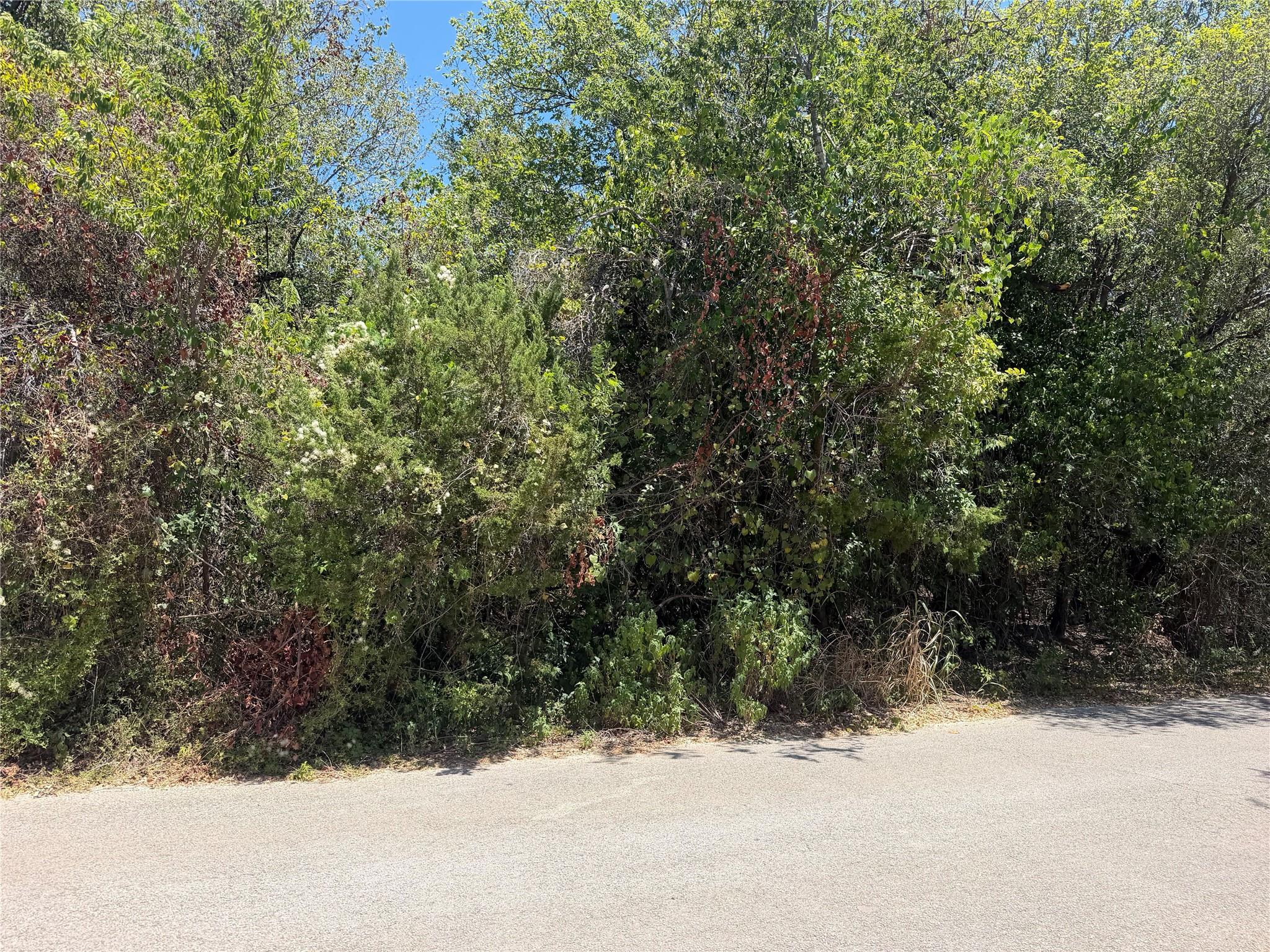 TBD Great Eagle TRL, Austin, TX 78734
